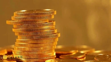 آموزش جامع خرید سکه در حراج بانک مرکزی