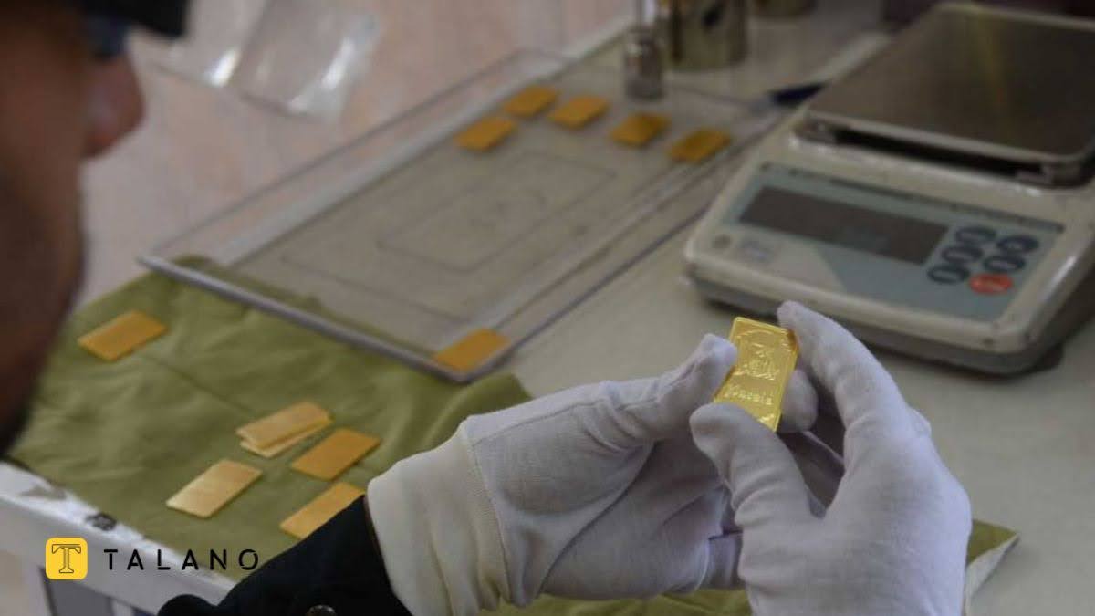 استعلام از آزمایشگاه ری‌گیری