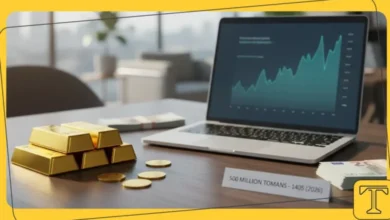 بهترین راه سرمایه گذاری با ۵۰۰ میلیون تومان در سال ۱۴۰۵